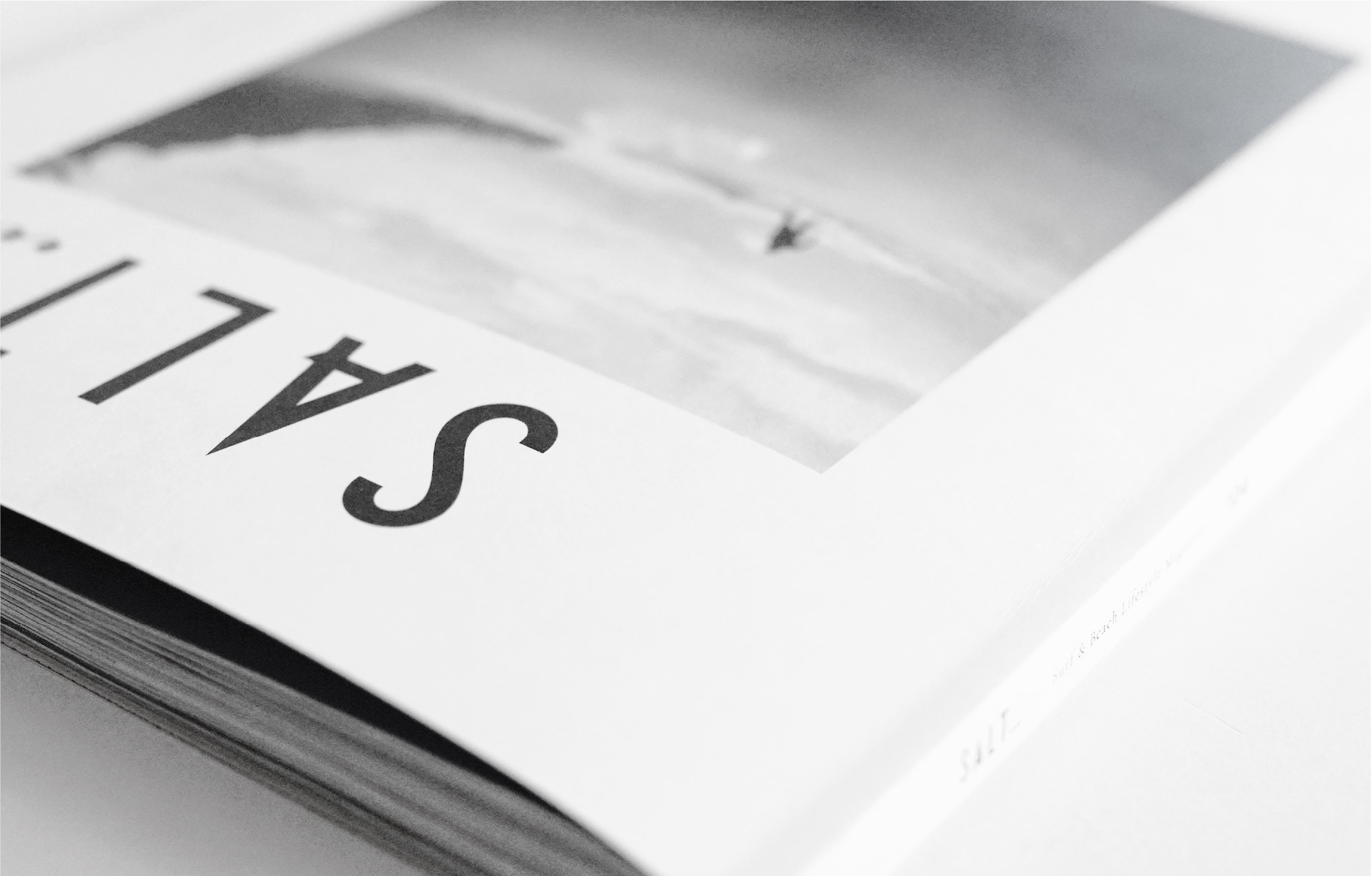 SALT vol.4のイメージ